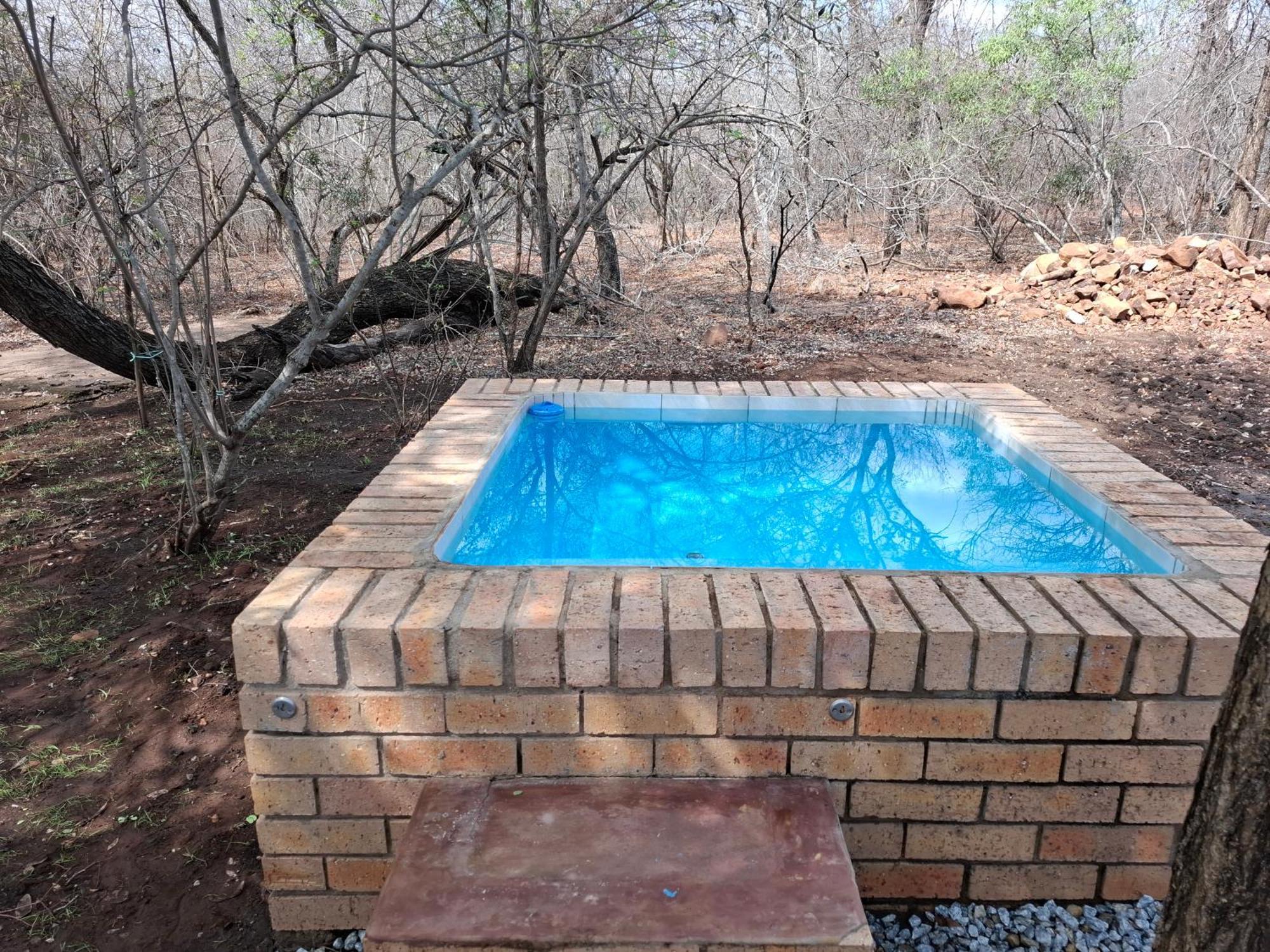 Rhino Marloth Park